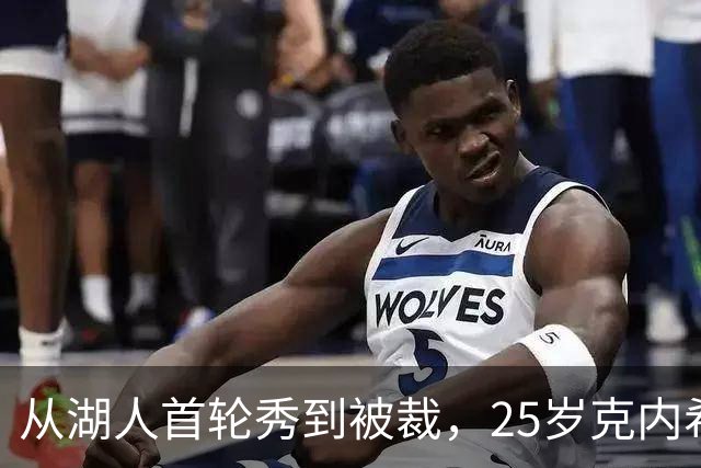 从湖人首轮秀到被裁，25岁克内希特转投尼克斯