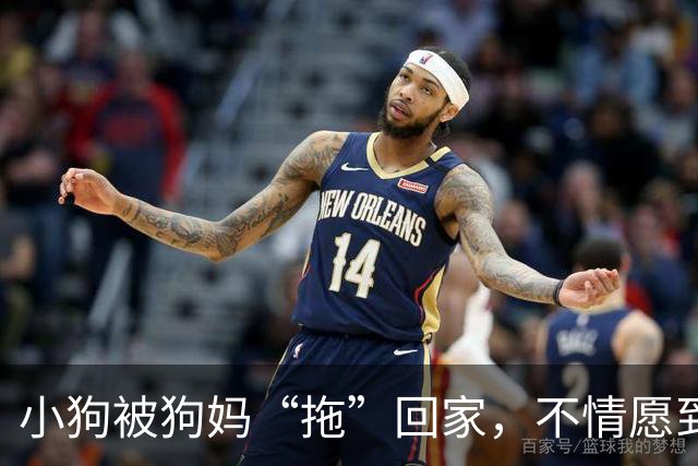 小狗被狗妈“拖”回家，不情愿到连爪子都在控诉：我还要玩！